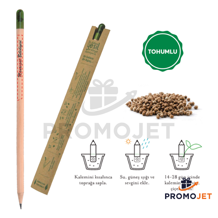 Tohumlu Naturel Kurşun Kalem