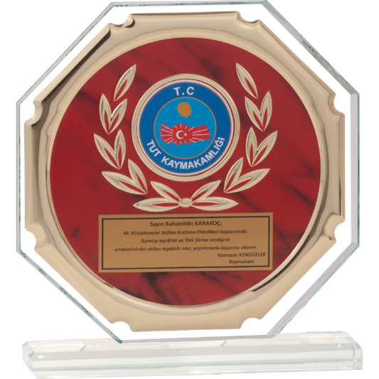 Cam Plaket