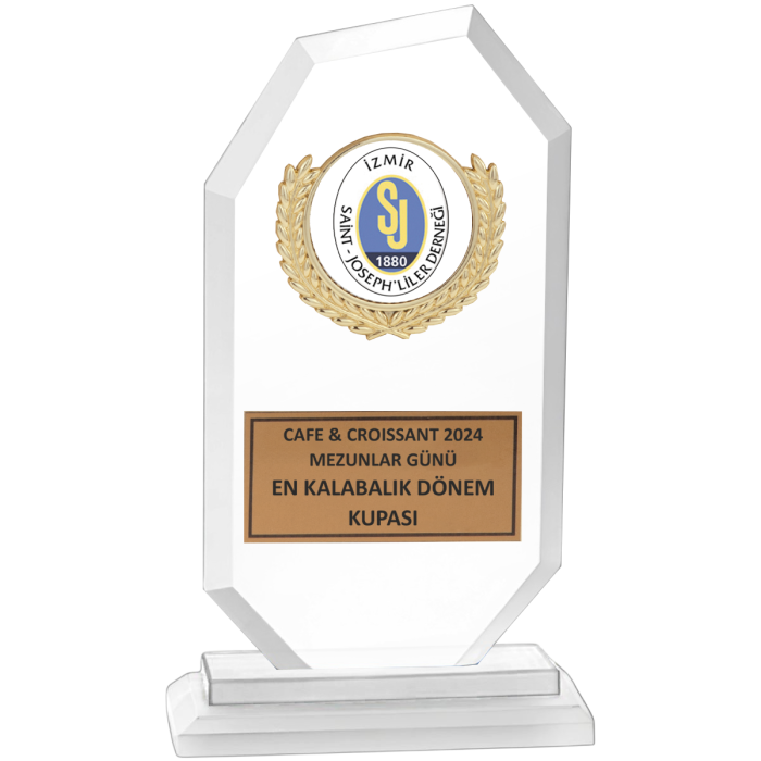 Cam Plaket
